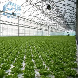 China Aquaponis Growing Poly Tunnel Plastic Greenhouse For Agriculture on sale