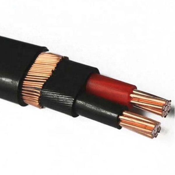 Best Price 6 AWG ACSR Low Voltage Electrical Cable Two Phases Concentric XLPE PVC EPR Insulation Tinned Copper Overhead