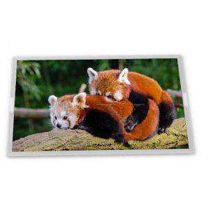 Wholesale T-51382D064-FW-P-AB 6.4 Inch Lcd Display Panel 640*480 CCFL Lcd Screen Module from china suppliers