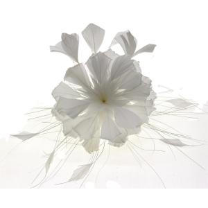 Wholesale 10*15 cm Stripped Goose Feather Flower Mount with Chicken Feather from china suppliers