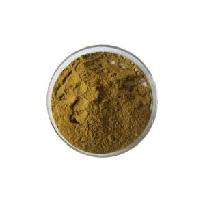 Food Grade Nutritional Brown Ginkgo Biloba Leaf Extract Powder