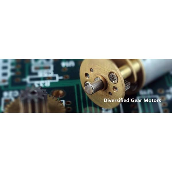 Micro Electric Automotive DC Motors Custom Made Accepted With Sleeve Bearing RS-385