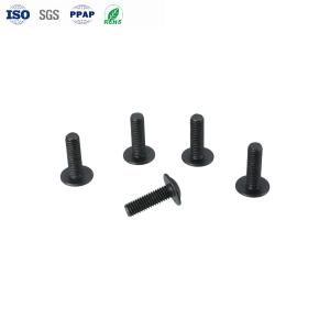 Black Dacromet Hex Socket Head Screws DIN GB ANSI 10mm-36mm