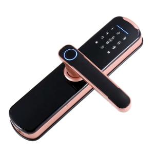Ttlock Tuya App 35mm Smart Electronic Lock Wifi Password