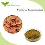 China Food Organic Plant Extracts Improve Immune Ganoderma Lucidum Extract for sale