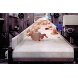 Conveyor for Mining Use in The Assembly