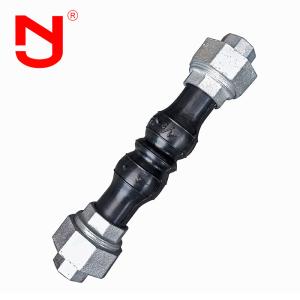 Stainless Steel Screwed Union Bspt Threaded Joint General Rubber Expansion