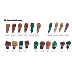 Industrial Push Button Switch Indicator 230v NP2 Controls Illuminated Flush Head