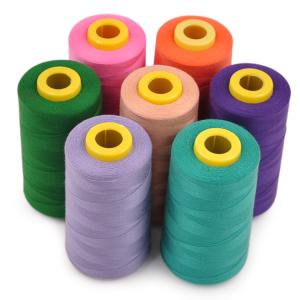 China Manufacturer Price Color 100% Polyester Sewing Thread 40S/2 3000Y 5000