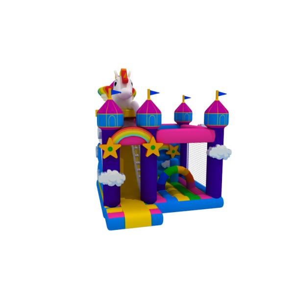 Kids And Adult Carton Inflatable Bounce House Combo Slide With Pool inflatable