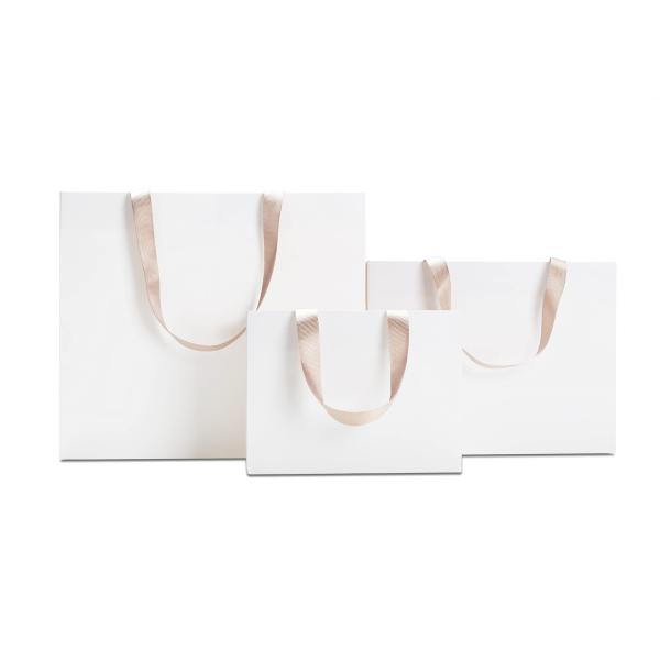 Custom Logo Popular Boutique Shopping Paper Bag in Gravure Print Design for Shoes