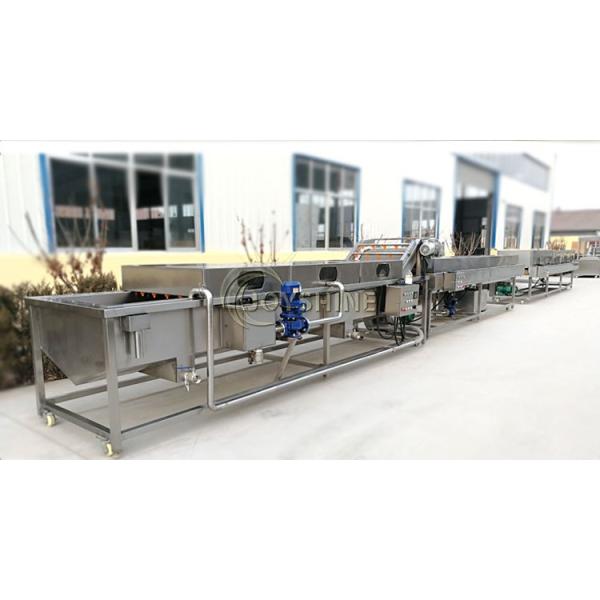 Tomato Fruit Washing Machine with Lifting Function by Joyshine Ce Fully Automatic