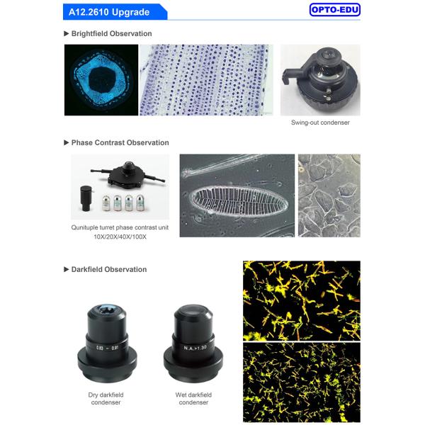 OPTO EDU A12.2610 Laboratory Biological Microscope