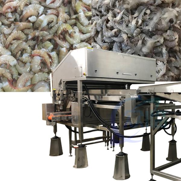 Shrimp head and shell sorting machine cleaning machine processing plant assembly