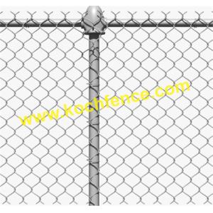 Galvanized Chain Link Trellis , Easily Assembled Pvc Coated Chain Link Mesh