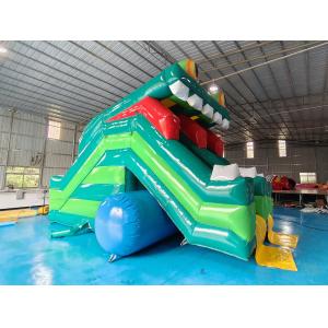 New Design Inflatable Slide Frog Figure Inflatable High Double Slides Dry Slide