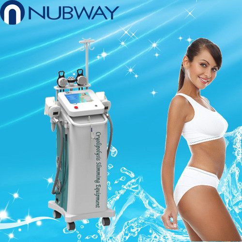 Quality 10.4 inch screen touch control cryolipolysis slimming machine with 5 handles for sale