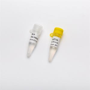 Multiplex Probe qPCR Mix for DNA real time PCR 1ml