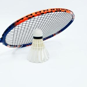 Full Carbon Graphite Badminton Racket for Professional Player