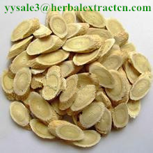 SALE! manufacture Astragalus Extract Polysaccharide 50% top quality, enhance