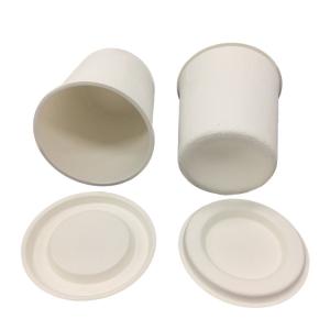 Wet Press Sugarcane Pulp Packaging , Eco Friendly Molded Paper Packaging