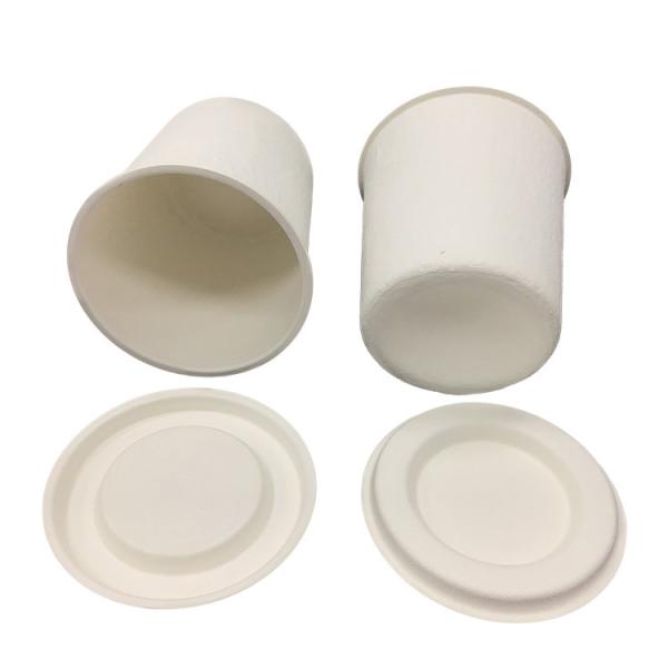 Wet Press Sugarcane Pulp Packaging , Eco Friendly Molded Paper Packaging