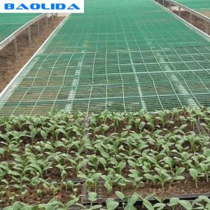 Movable Greenhouse Rolling Benches Breeding Nursery Seedling Size Customized