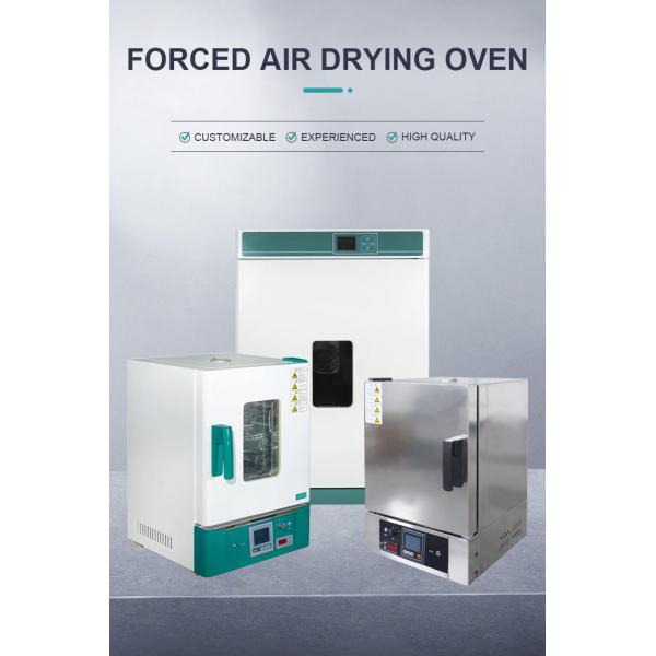 Electric Blast Drying Oven for Laboratory Fruit Drying Electrostatic Spraying Coating