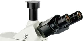 Upright Fluorescent Biological Microscope B60F