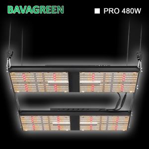 4x4 Bavagreen LM301H 480w Samsung LED Grow Light 1248umol/s