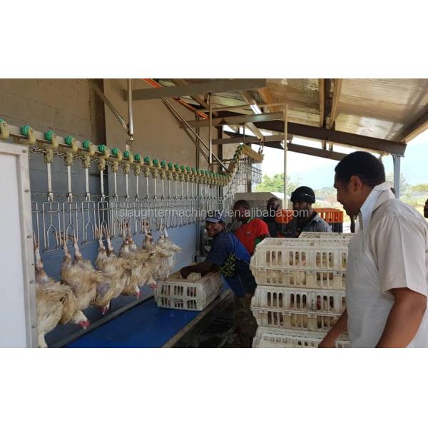 Overhead Conveyor System for Chicken Slaughterhouse Poultry Processing Line Equipment 1.5 Years Provided Connect CN;JIA CE