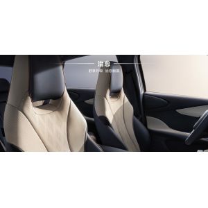 BYD 2025 Dolphin 520km Knight Edition EV