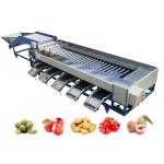 SUS304 Roller Sorting Machine Used For Sorting And Grading Round Fruits And