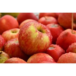 Ss304 Apple Processing Line Automatic Fruit Juice Making Machine 380V