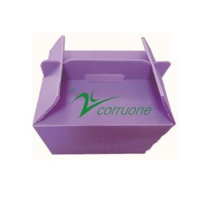 Corruone PP polypropylene correx foldable box Fresh vegetable and fruits pp
