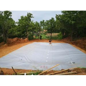 PVC Tarpaulin Foldable Agricultural Rainwater Collection Bladder