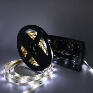 0.8W 6500K 150 LED Solar Motion Light