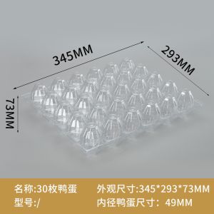 Small Plastic Egg Cartons - Clear 2 Dozen Quail Eggs Tray - Reusable Storage