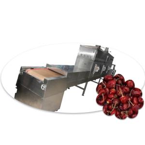 China Conveyor Belt Microwave Vacuum Dryer Machine 120KW For Chili / Instant Noodles on sale