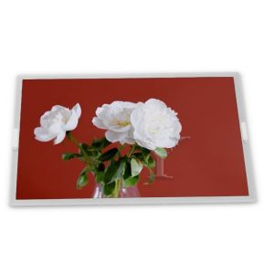 Wholesale TCG057VGLBA-G20 LCD Modules 5.7-Inch WLED ODM LCD Display Module 640*480 Resolution from china suppliers