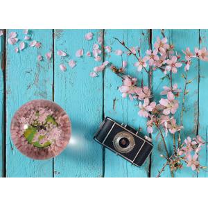 Ball Shape Crystal Decoration Crafts Designed With Four Seasons Tree