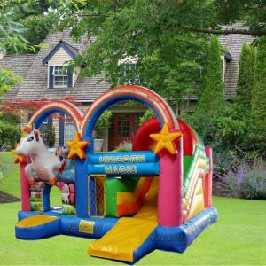 Wholesale Customized Size Inflatable Frozen Castle Bouncer with Water Slide of PVC Material from china suppliers