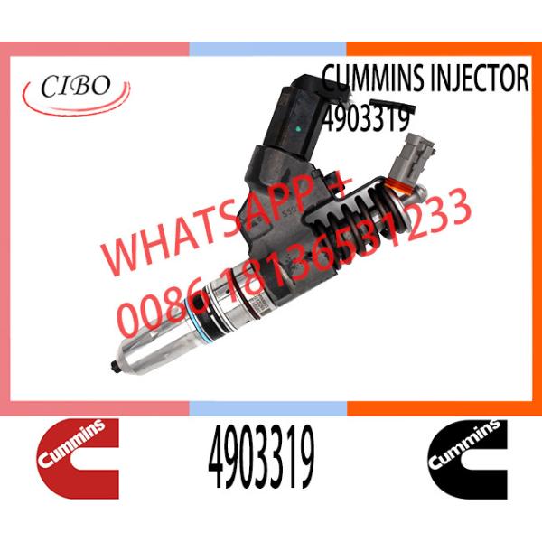 4903319 Common Rail Injector For CUMINS QSM ISM QSM11 ISM11 M11 engine