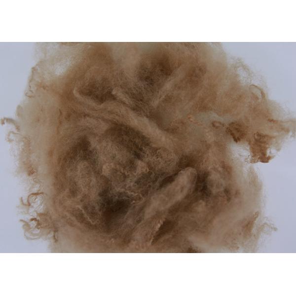 Dope Dyed Coffee Color Polyester Staple Fiber 1.5D*38MM Recycled