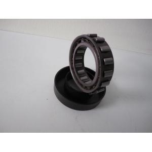 one way sprag cage Freewheels BWX1310226 assembly with sprags and double cages