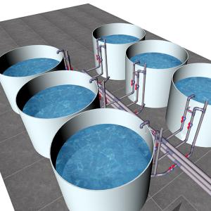 Temperature Controllable High Density Recirculated Aquaculture System RAS