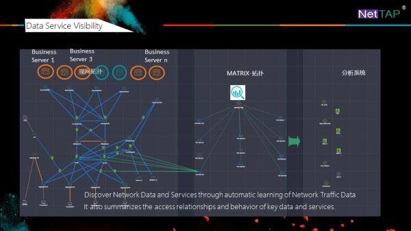 NetTAP® MATRIX NetInsight™ Network Traffic Data Visibility of Data Service