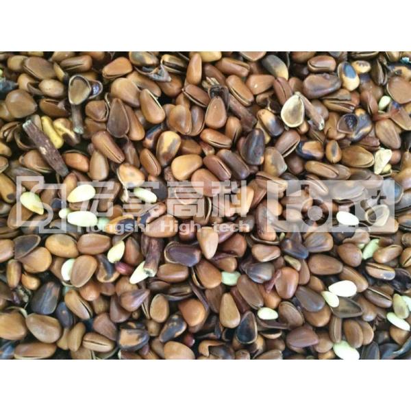 Sorting Machine CCD Camera 4Chutes 252Channels Color Sorter For Rice/Beans