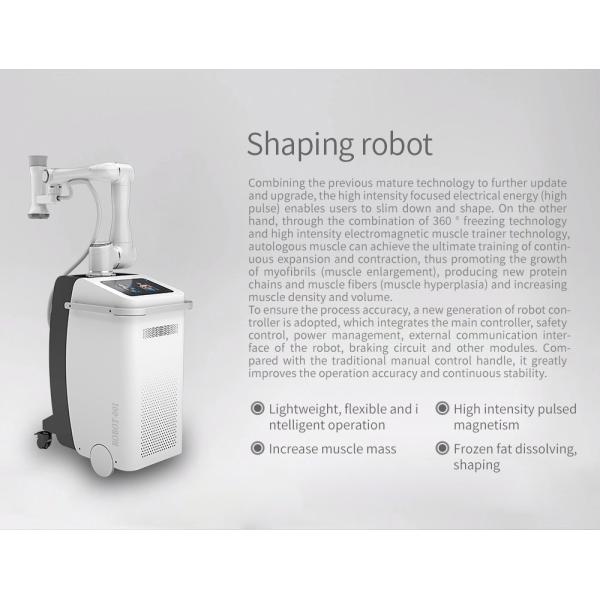 360 Cryolipolysis Slimming Machine Cryo+EMS Stimulation Machine For Fat Reduction