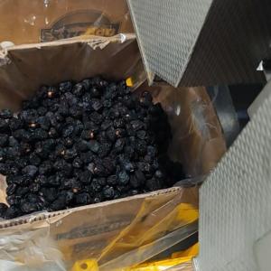 High-capacity Dates Sorting Machine, Computer Control, 6 lanes+10 outlets, 1.8